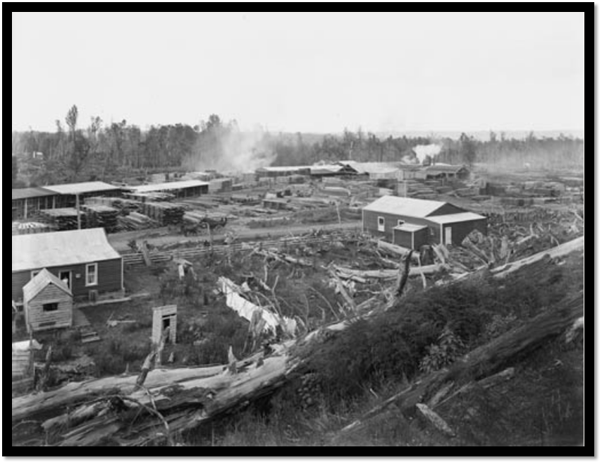 Sawmill