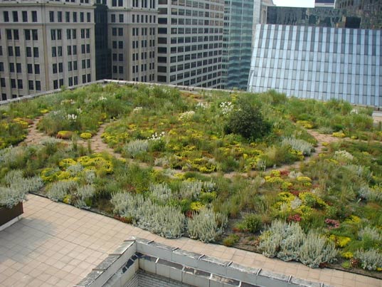 greenroof