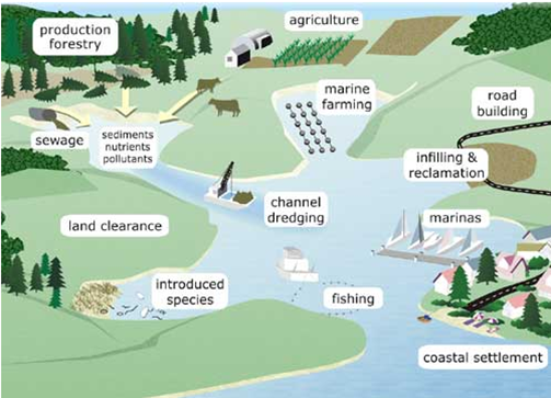 EStuarine Effects