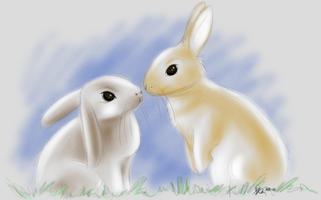 Bunnies resizing!