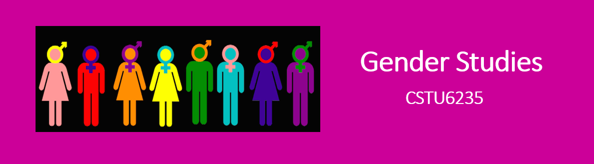 front banner with course name "gender studies cstu6235"